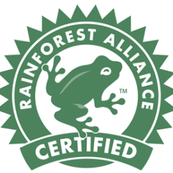 rainforest alliance logo